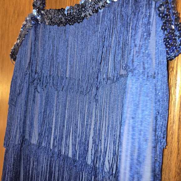 Blue Flapper Costume Dress For Women Size 12-14 Medium, Stretchy - Picture 5 of 5